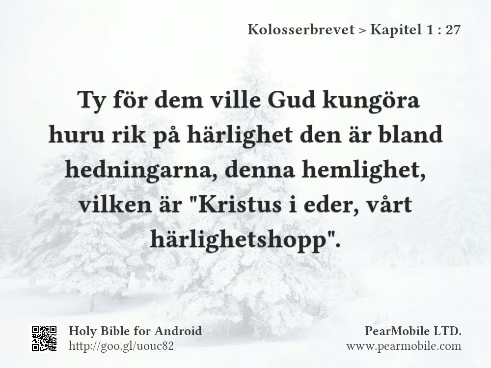 Kolosserbrevet, Kapitel 1:27